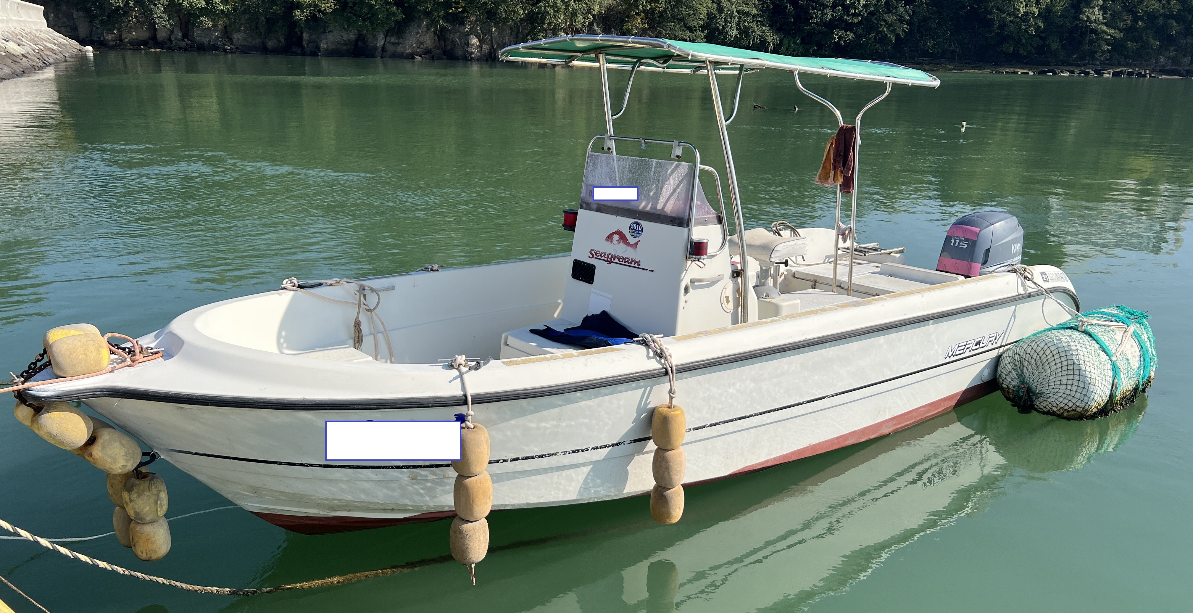 0.92톤 레저선 매매 사진