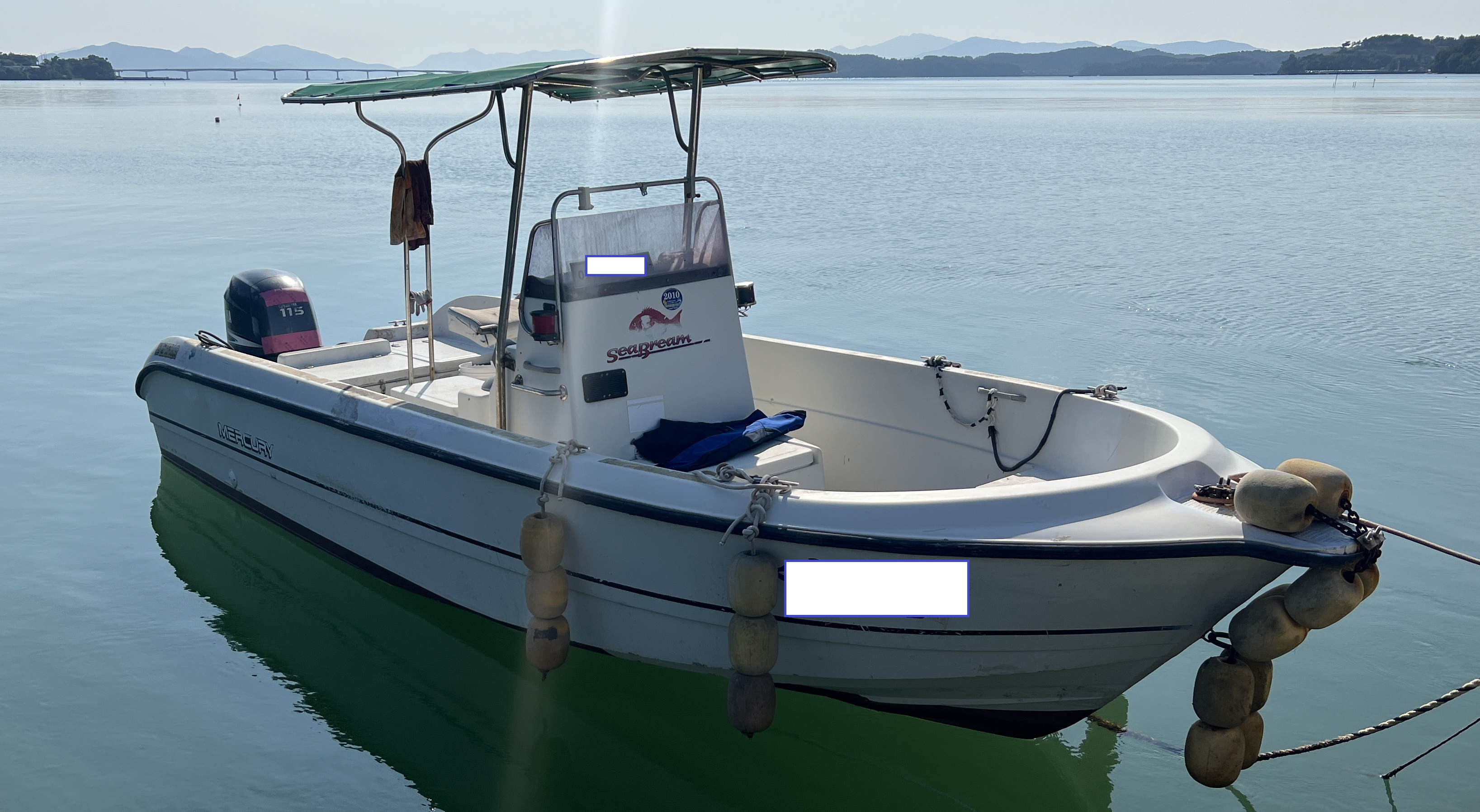 0.92톤 레저선 매매 이미지 2