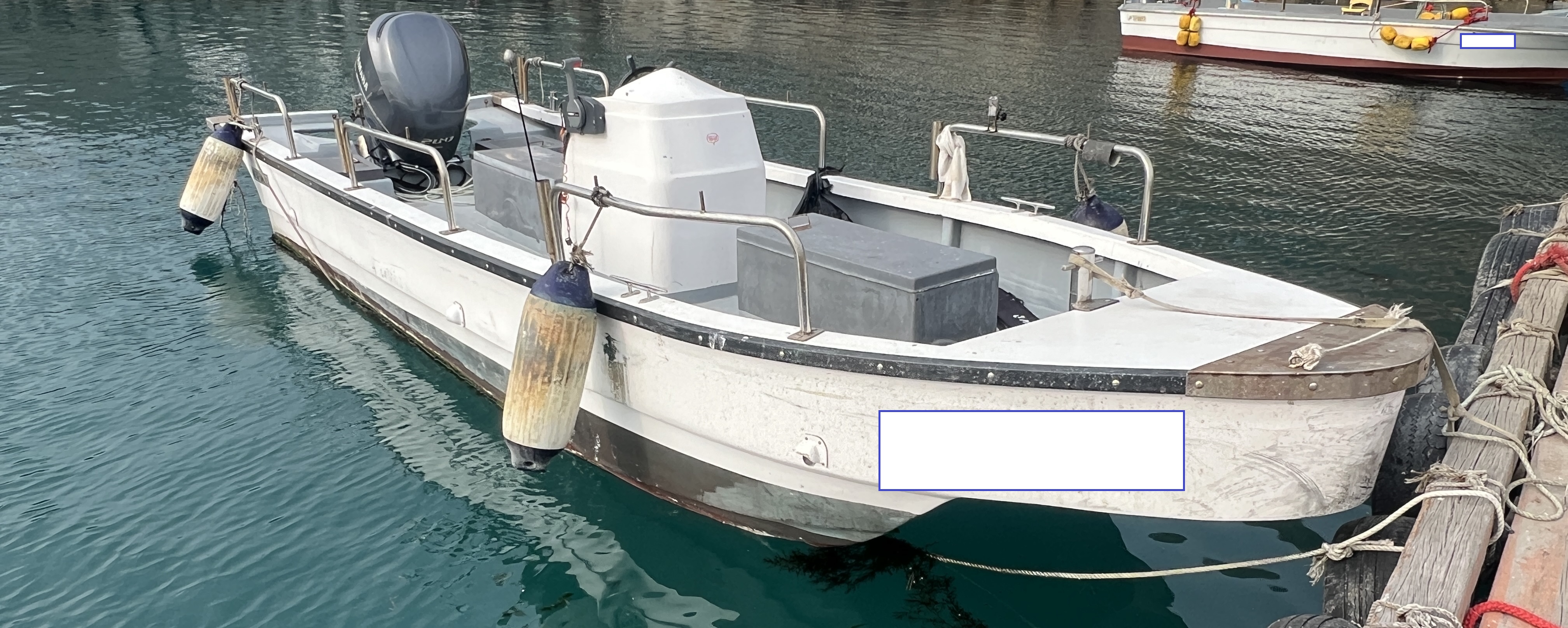 0.95톤 레저선 판매 이미지 2