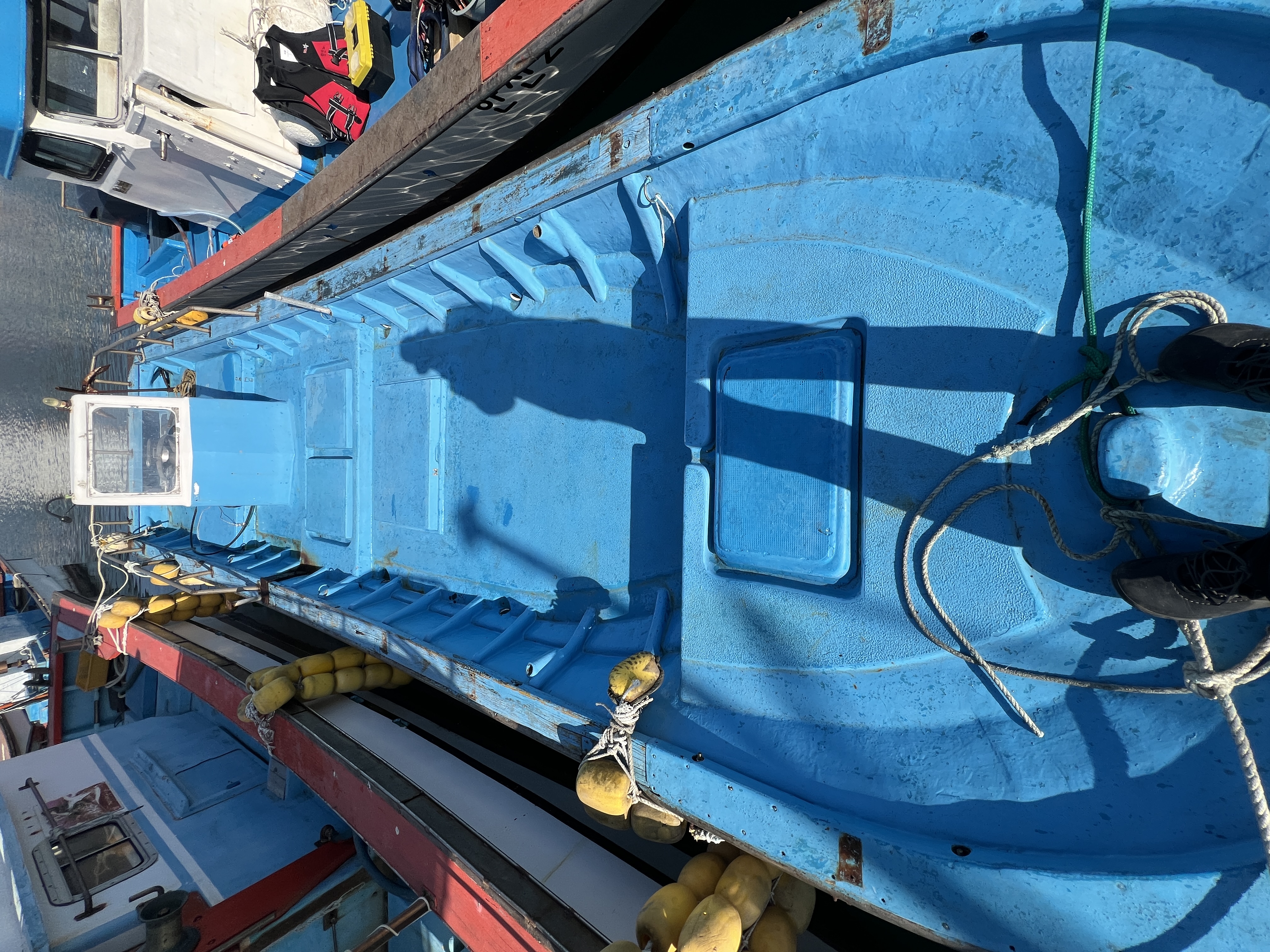 0.99톤 레저선 매매 이미지 3