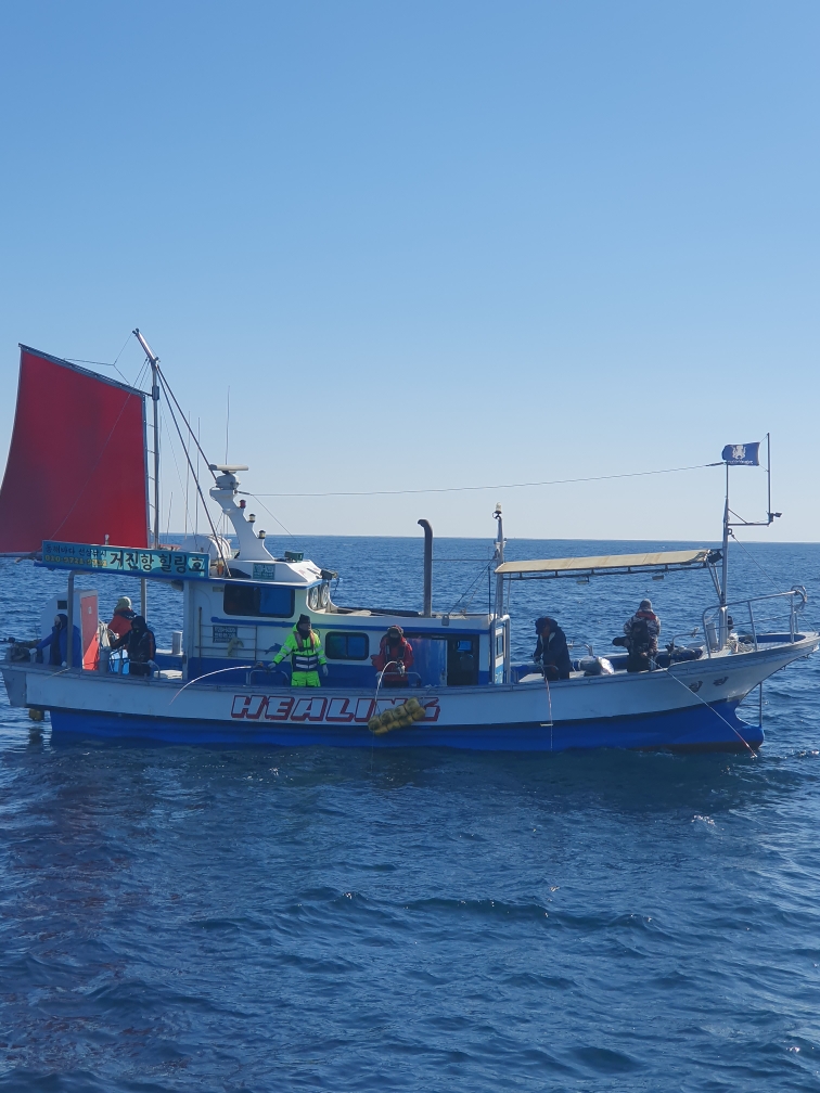 [강원도] 6.67톤 연안복합+연안자망 낚시어선 매매